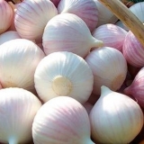 Kako čuvati beli luk u stanu